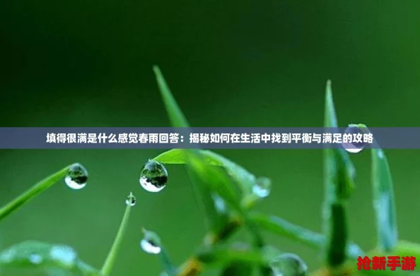 填得很满是什么感觉春雨回答：揭秘如何在生活中找到平衡与满足的攻略