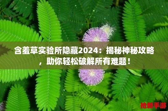 含羞草实验所隐藏2024：揭秘神秘攻略，助你轻松破解所有难题！