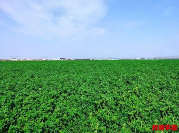 探索《我的世界》高效土地管理与种植策略：打造自给自足的绿色王国秘籍