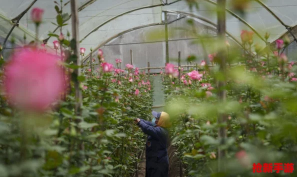 探索《四季物语》独家福利：揭秘最新兑换码，解锁游戏内隐藏宝藏与惊喜礼遇