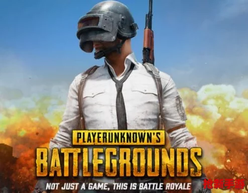 PUBG玩家必看：独家揭秘免费改名卡获取技巧，轻松实现游戏ID变更无负担！